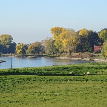 IJsselvallei bij Zutphen